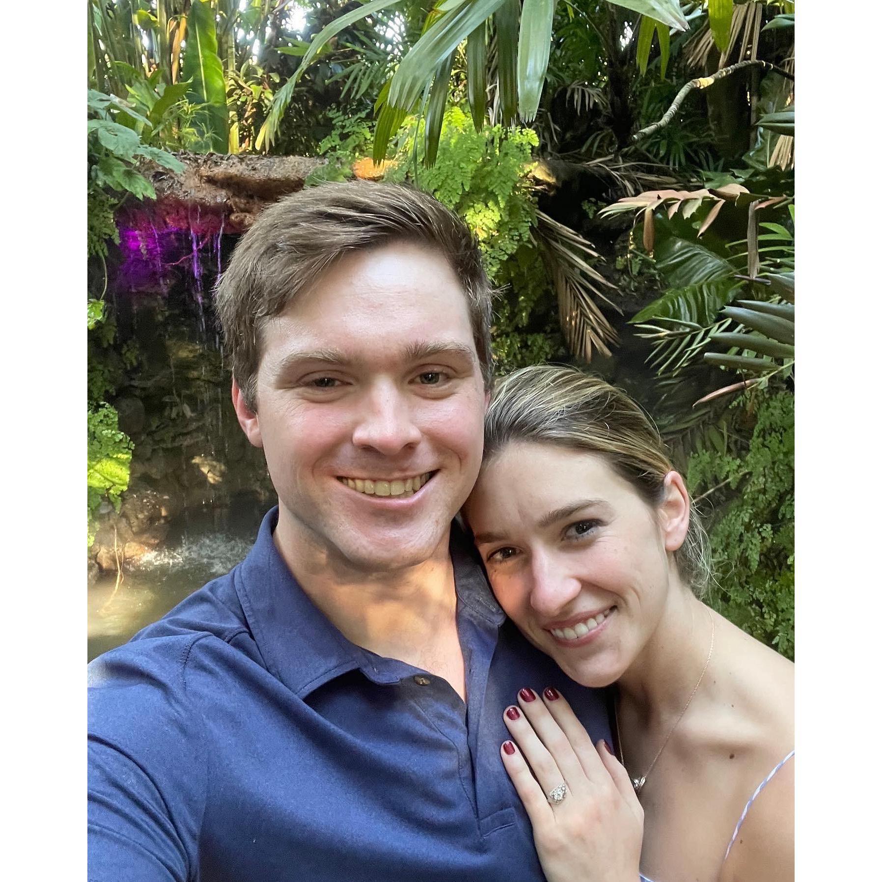 We got engaged on New Year's Eve 2021 at the Miami Botanical Gardens.