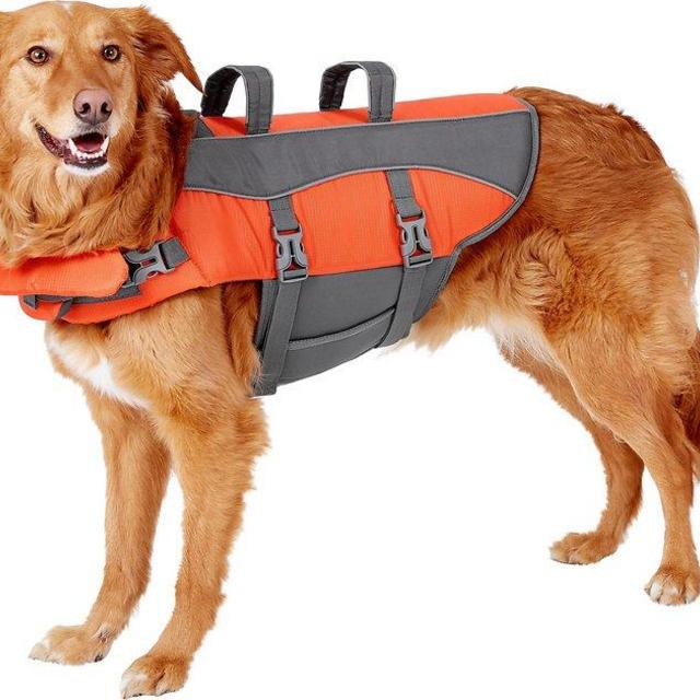 Frisco Dog Life Jacket - Medium