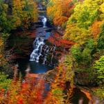 Falls of Clyde