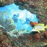 Java Cat Sail~Kayak~Snorkel Key West Eco Tours