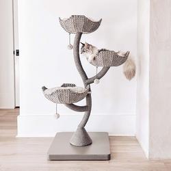 Mau Pets, Ivy 3 Modern Cat Tree | Zola