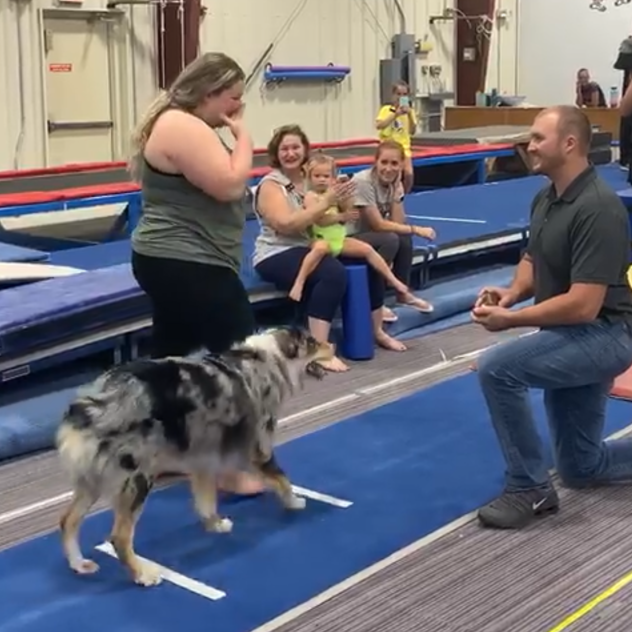 The Proposal Day!!!