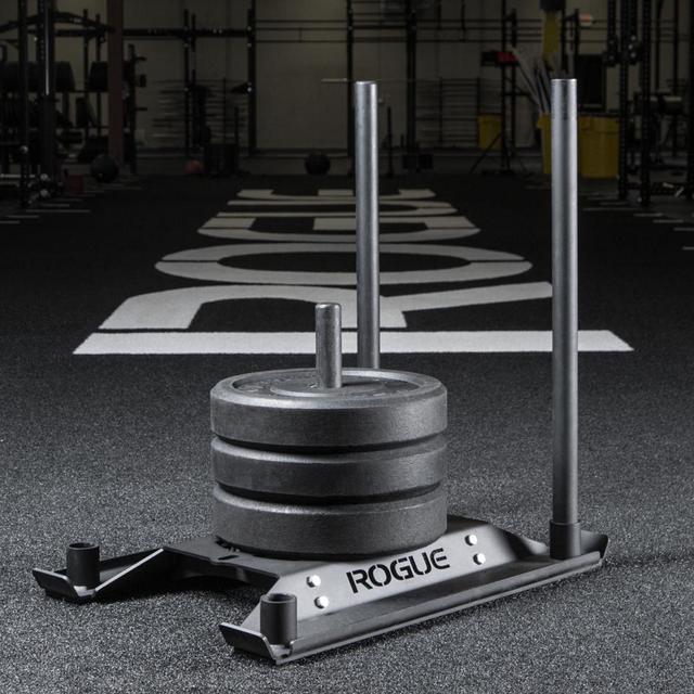 Rogue Echo Dog Sled