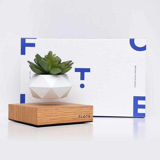 FLOTE Levitating Air Pot – Floating Plant Pot – Planter for Bonsai or Air Plants – Magic Magnetic Design – Unique Gift – Minimalist Home Décor