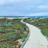 Asilomar State Beach
