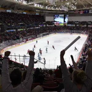 Stingrays Season Tickets