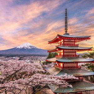 Our Honeymoon Fund to Tokyo