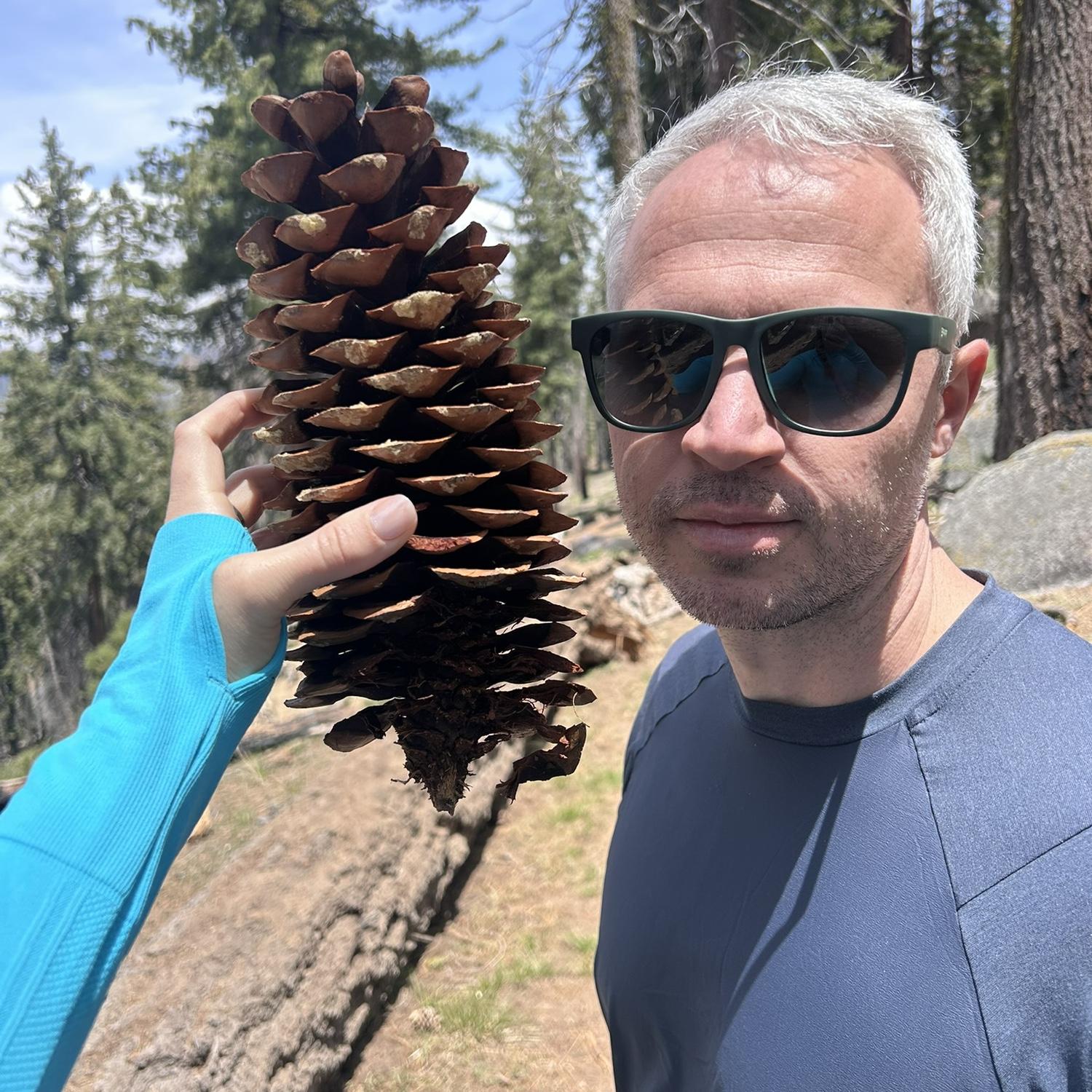 Sequoia National Park, CA