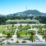 California Academy of Sciences