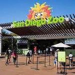 San Diego Zoo