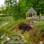 Zorvino Vineyards