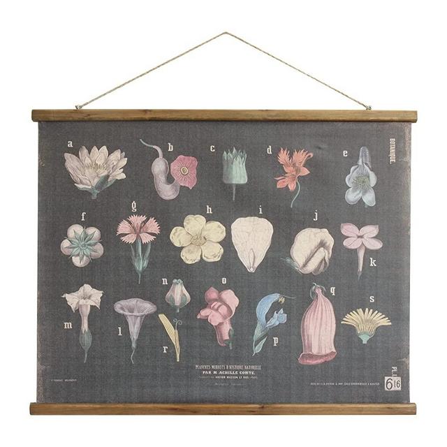 Creative Co-Op Scientific Botanicals Linen & Wood Scroll Wall Poster