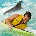 Dolphin Experience