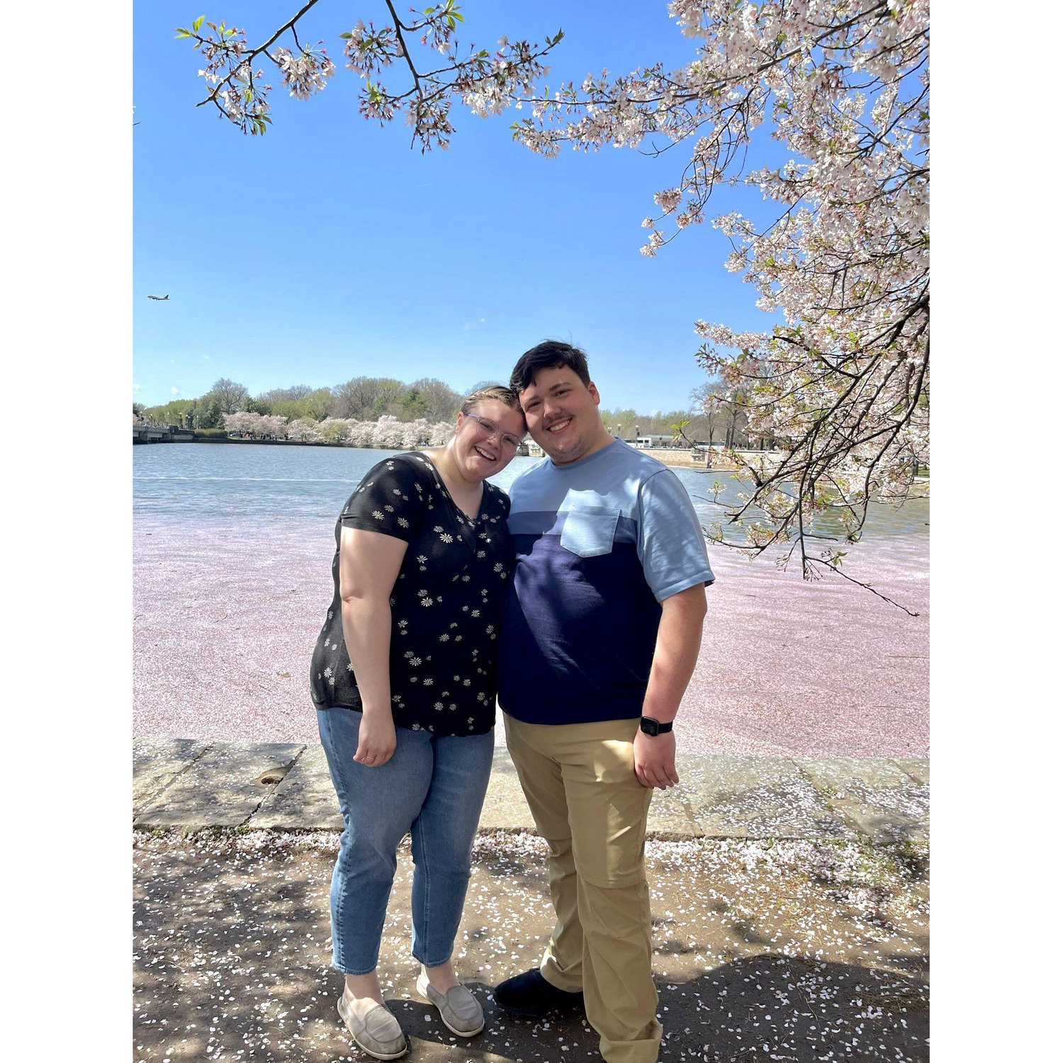 Cherry Blossom Festival in DC