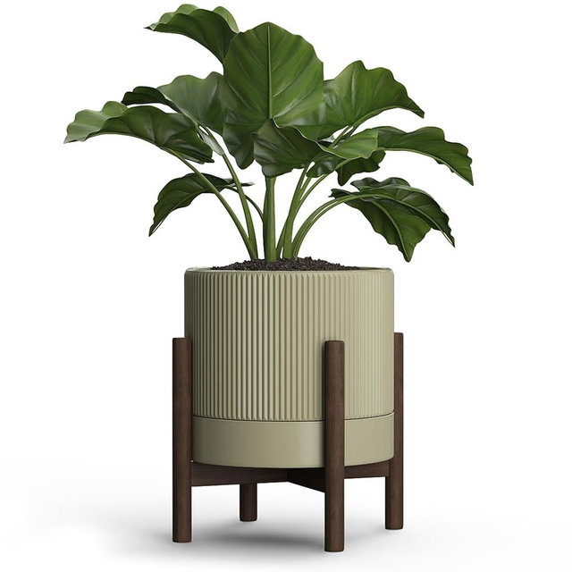 Carrward Ceramic Planter Pots Indoor with Drainage Hole & Saucer,Including Stand,7.3 Inch Mid-Century Modern Cylinder Plant Pot for Snake Flower Leaf Khaki