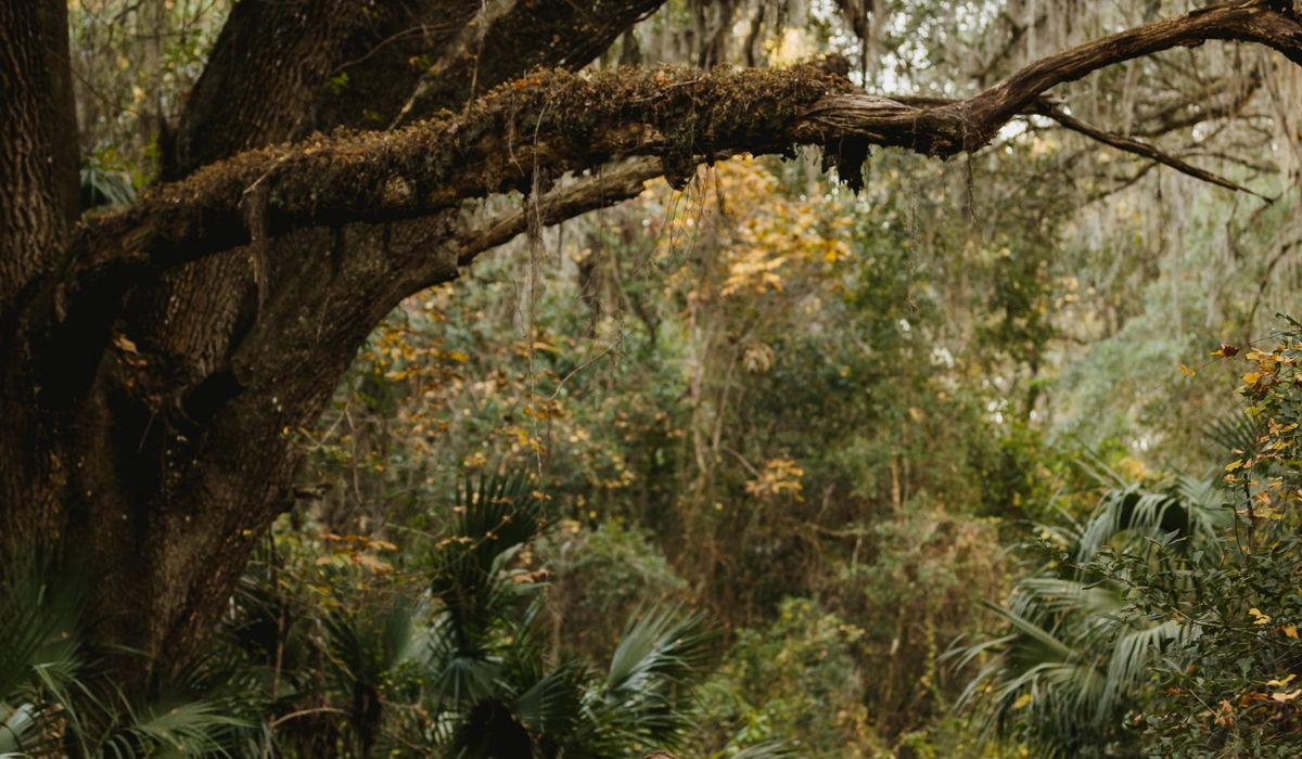 Hero Slideshow Image 4