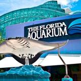 The Florida Aquarium