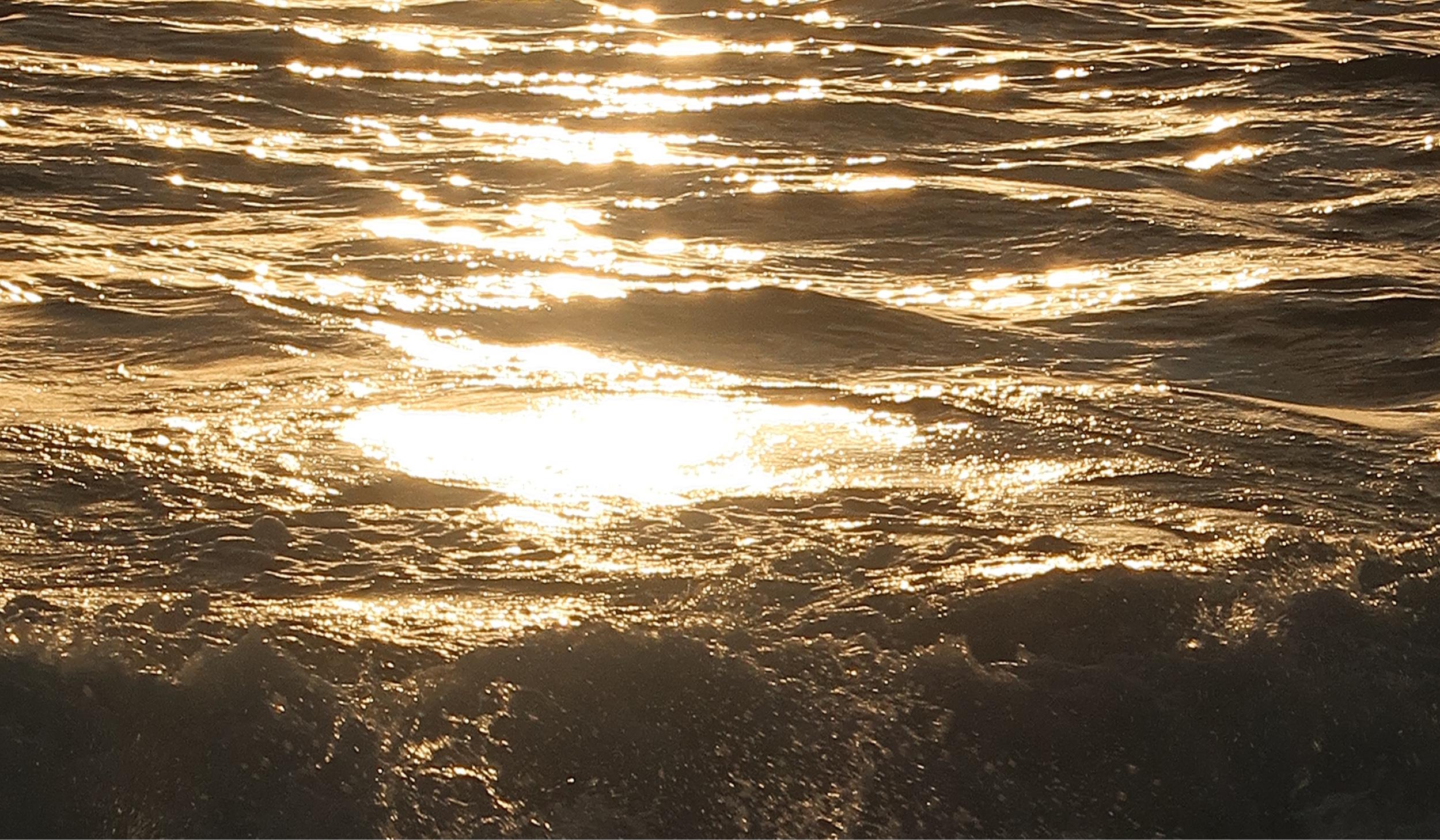 The Wedding Website of Emily Franson and Patric Fullman