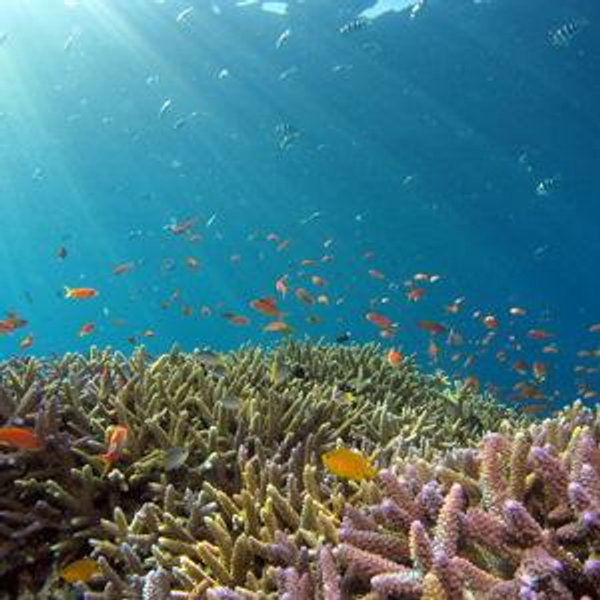 Snorkeling Trip to Nusa Penida Indonesia