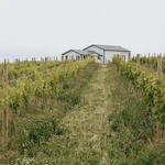 Folklor Wine & Cider