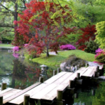Maymont