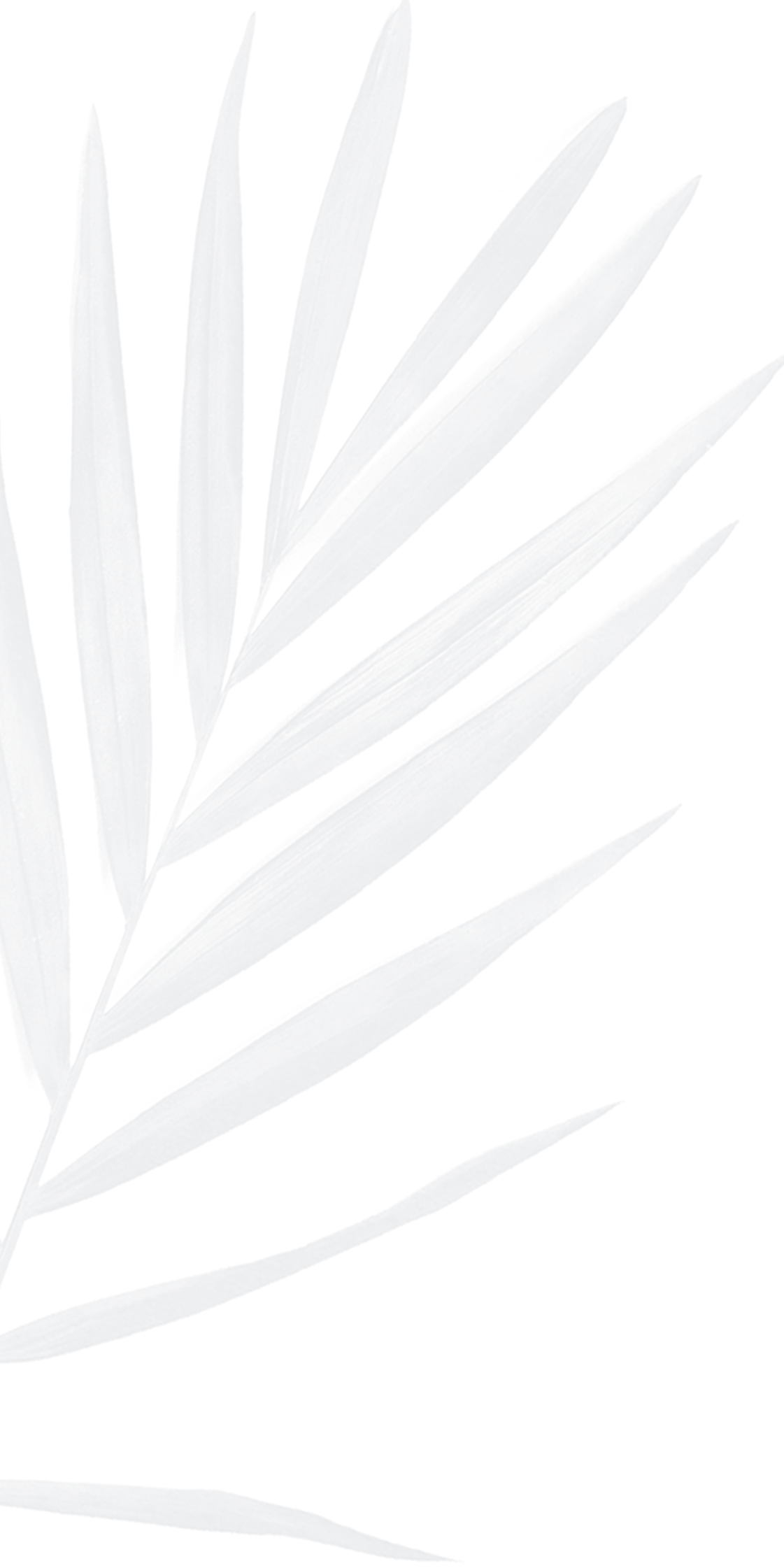 palm