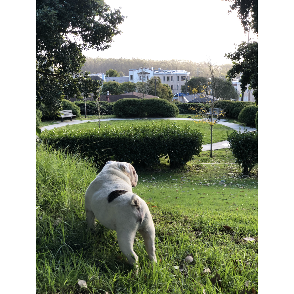 Our home base has always been our neighborhood in The Sunset district of San Francisco and snuggling up with this guy <3 We love him so much!!!