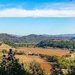 Healdsburg Ridge Open Space Preserve