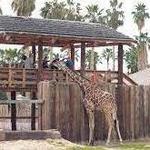 Wildlife World Zoo, Aquarium & Safari Park