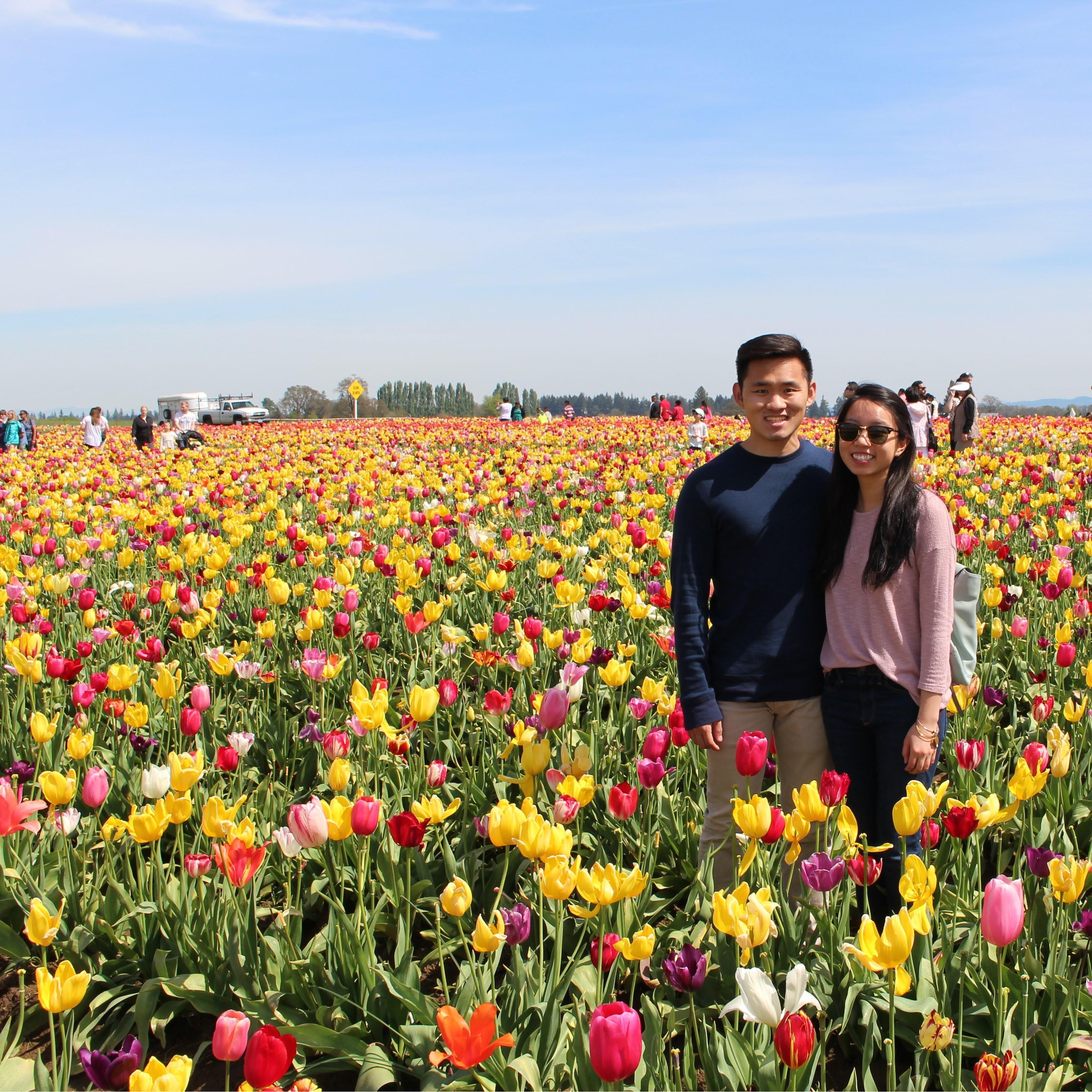 04/2016 - Tulip Fields
Woodburn, OR