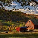 Maple Grove Farms of Vermont