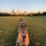Zilker Metropolitan Park