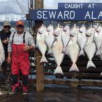 Seward Alaska Fishing Charters