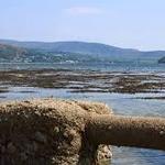 Ballyboe to Millbrook Loop