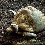 Lehigh Valley Zoo