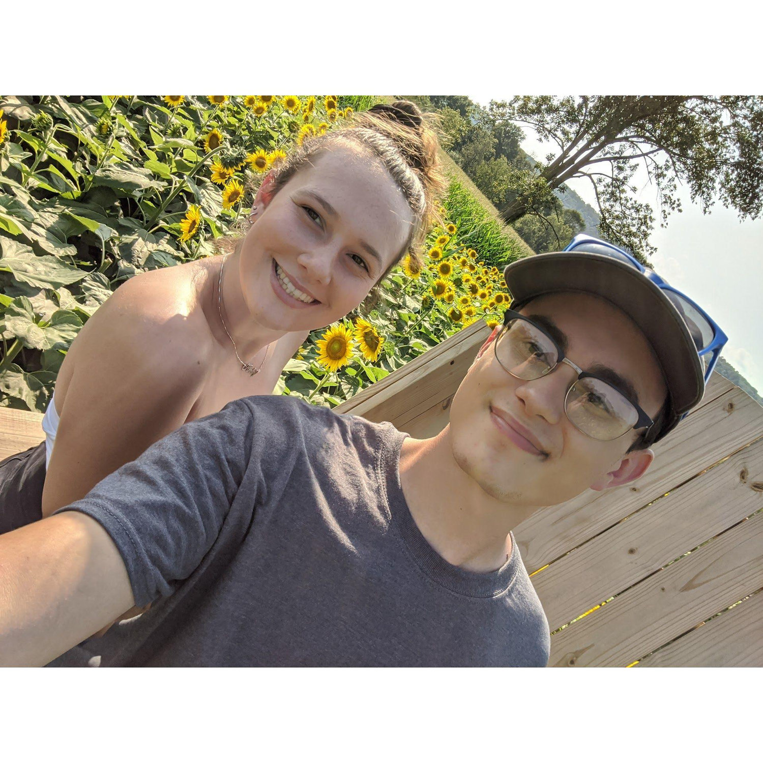 Sunflower picking at VonThun Farms