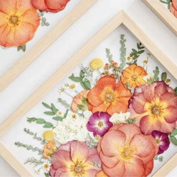 Pressed Frame - Original