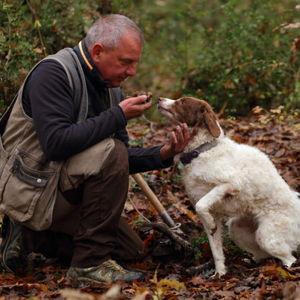 Truffle Hunting in Tuscany