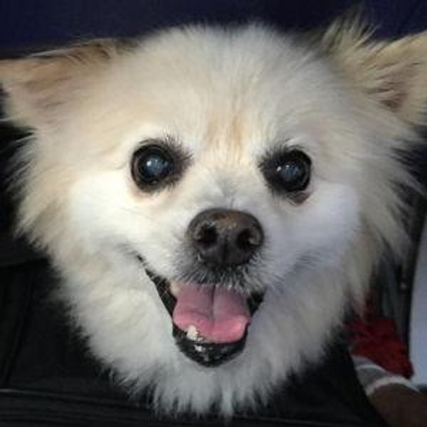 Fable’s Polar Bear Legacy Fund
