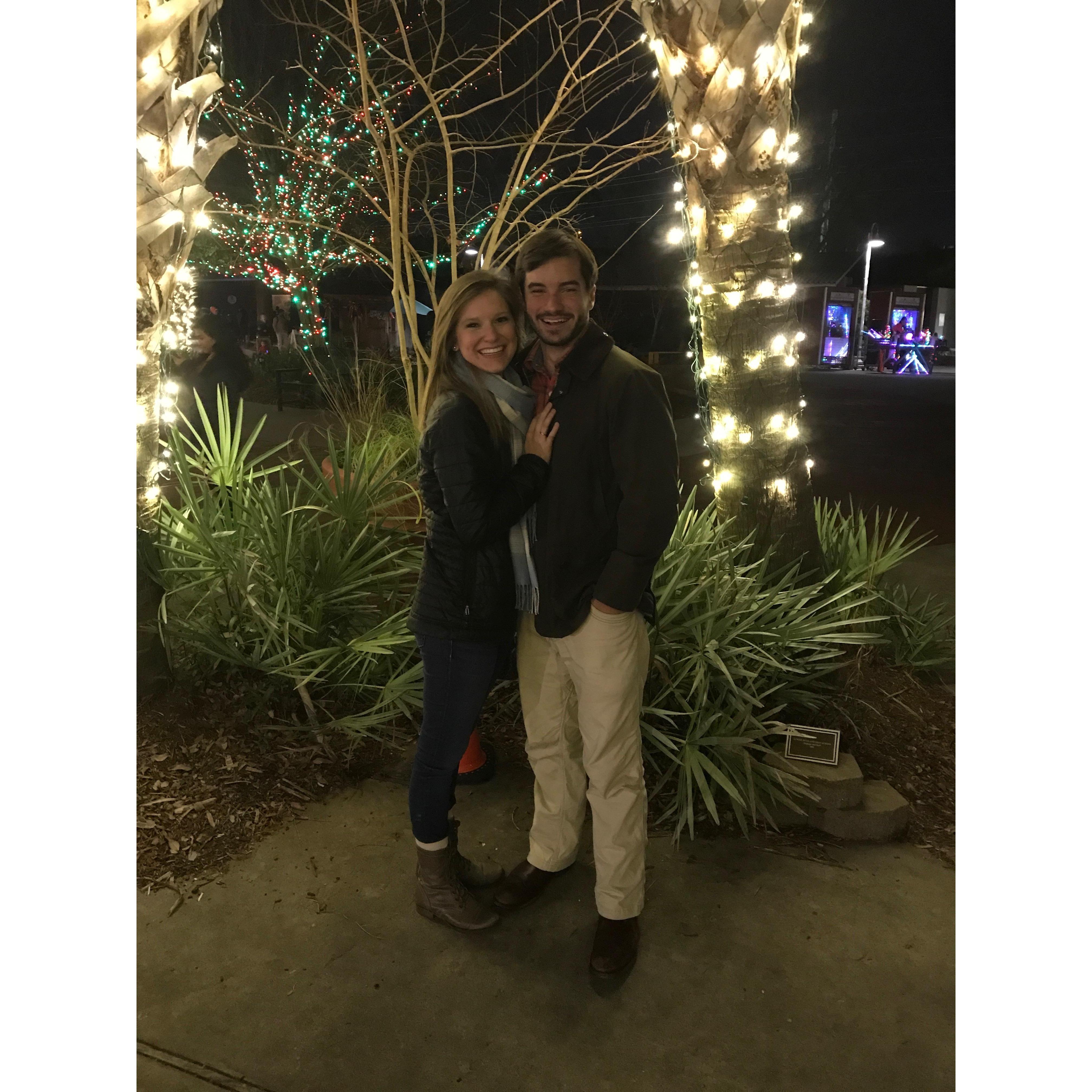 First date, Christmas at the Zoo 2017