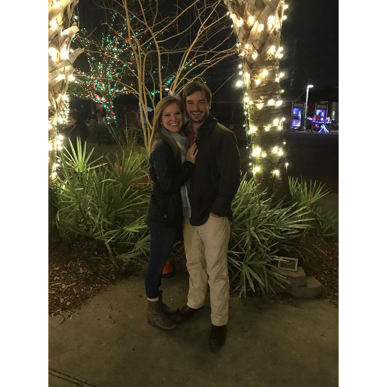 First date, Christmas at the Zoo 2017