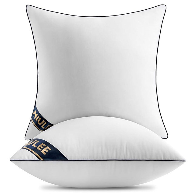 MIULEE 24x24 Euro Pillow Inserts Set of 2 Throw Pillows 24 Inch Premium Down Alternative Pillow Inserts Decorative Pillow Stuffer for Sofa, Couch (24x24 inch, Set of 2)