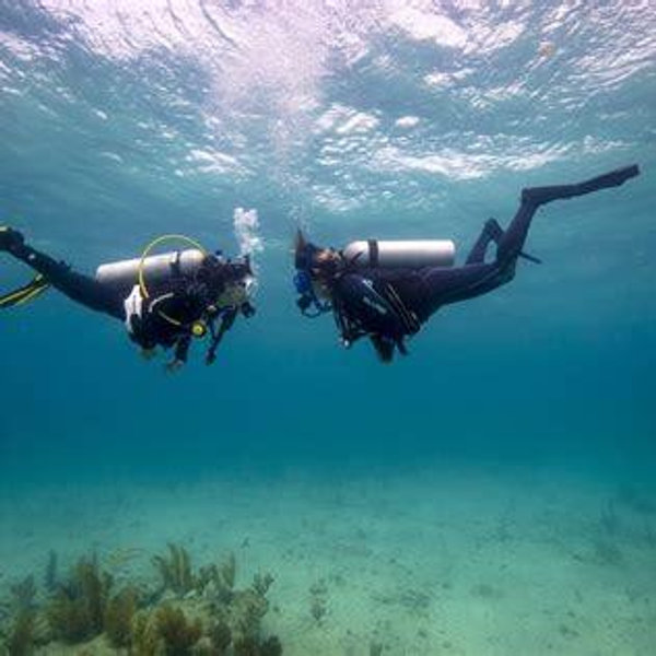 Scuba Adventure