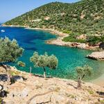 Beaches in Alonissos