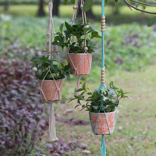 Small Planters, Set of 4