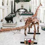 Field Museum