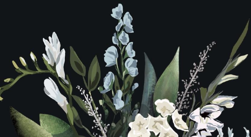 Footer image