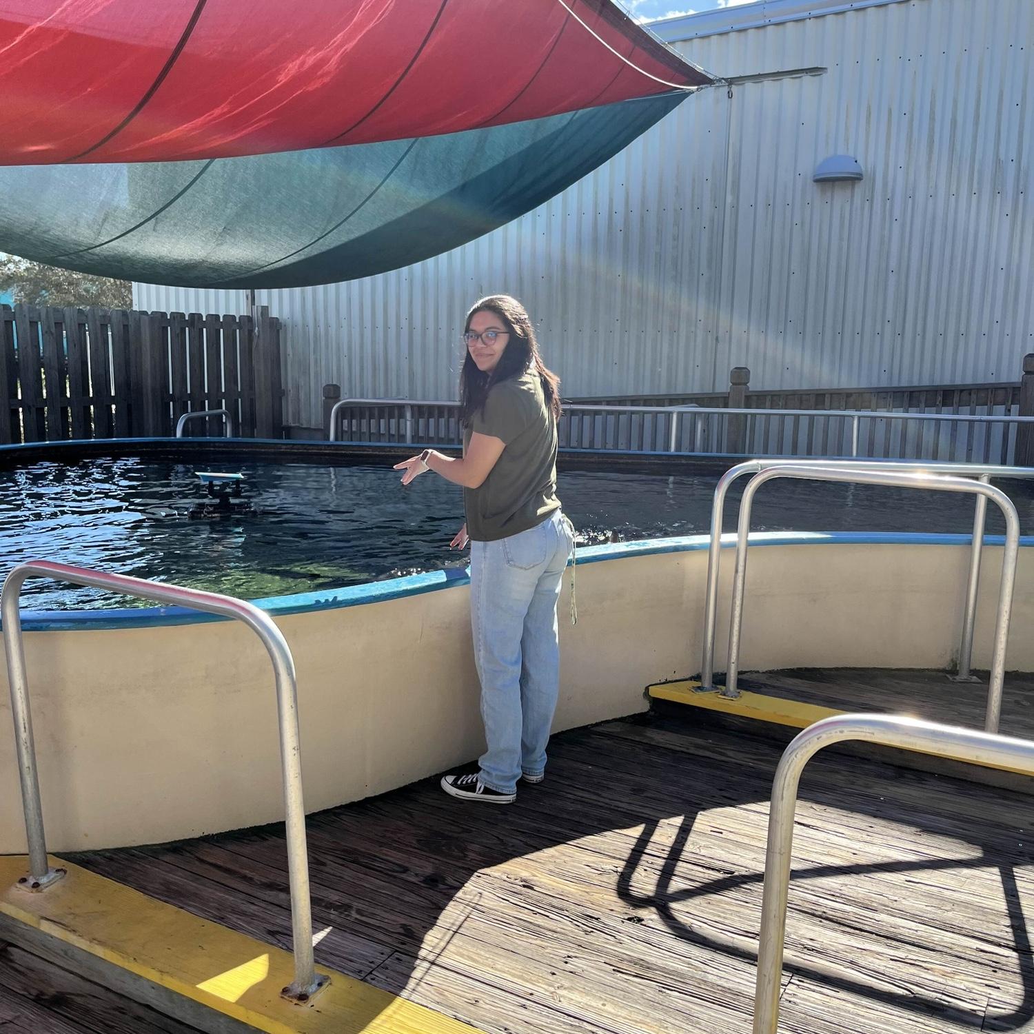 Touch The Stingrays!