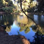 Ernest E. Debs Regional Park