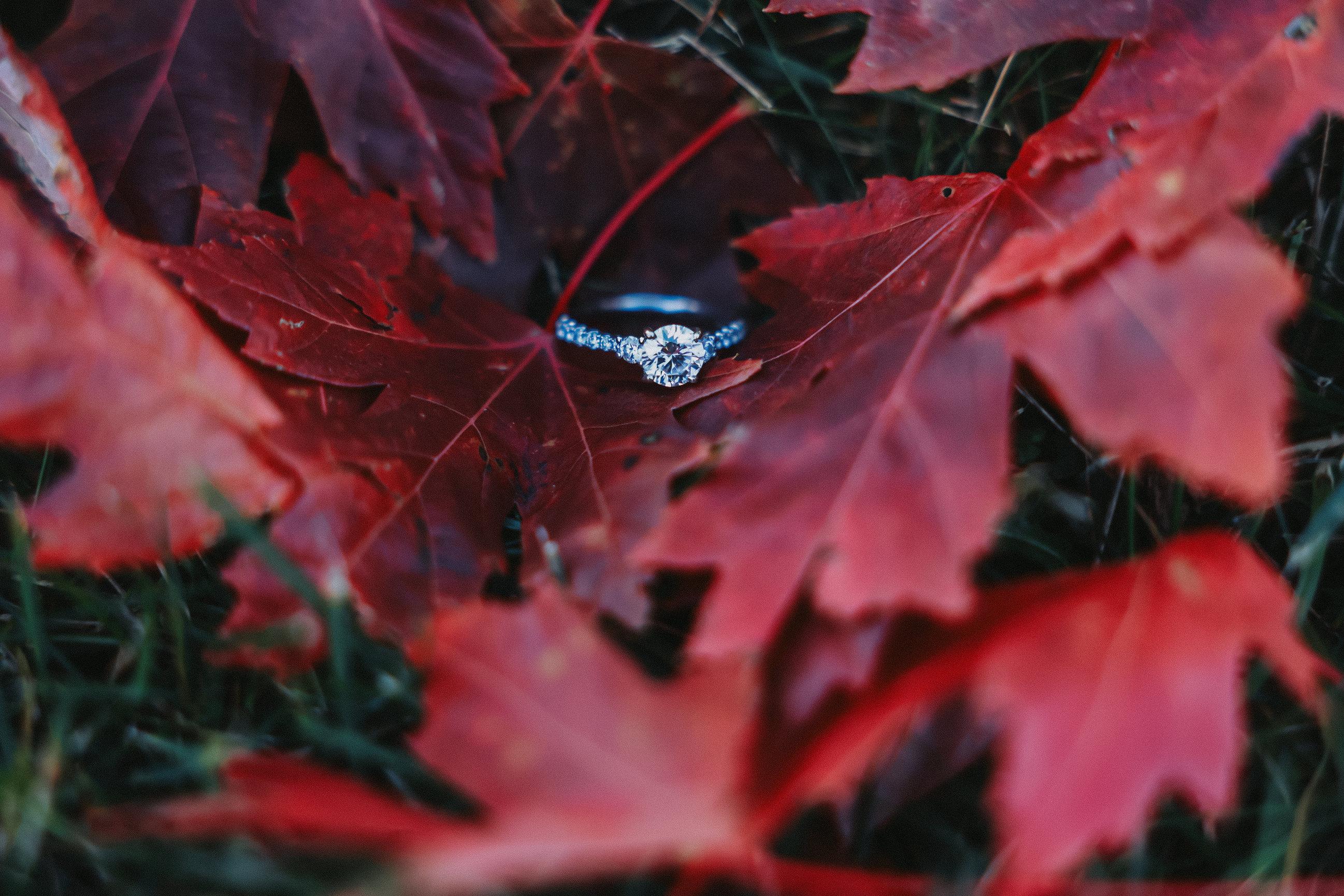 The Wedding Website of Andrea Cress and Kevin Ellis
